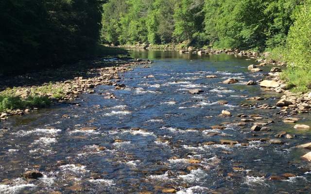 Worlds End State Park | Pennsylvania